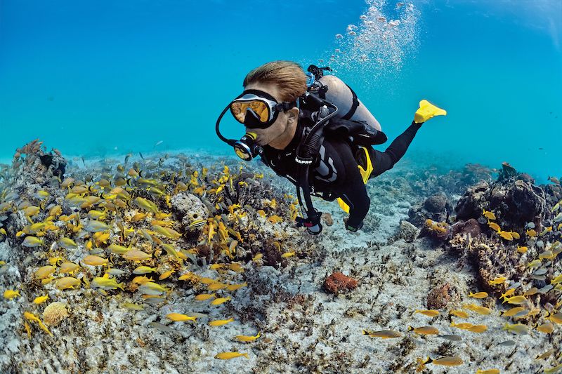 Complete Dive Packages